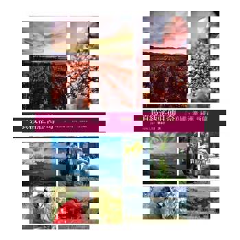 【電子書】頂級酒莊傳奇：美國、澳洲、紐西蘭