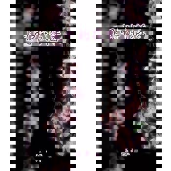 【電子書】風中的花季（簡體版）