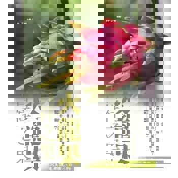 【電子書】吉祥之果：火龍果