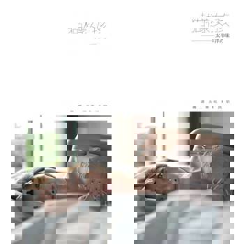 【電子書】貓樣女孩 太平洋の味：張安娜篇───花蓮民宿．夏洛克Villa