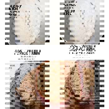 【電子書】高含水萬用麵糰