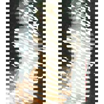 【電子書】山口飛翔短篇集 裸體模特兒 (全)