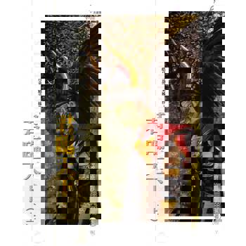 【電子書】君臨天下(上)