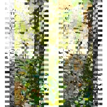 【電子書】Paperfilm系列漫畫7冊套組