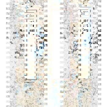 【電子書】瓊瑤經典作品全集 41：雪珂