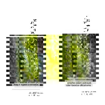 【電子書】您可不曾認識的和平