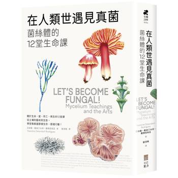 在人類世遇見真菌：菌絲體的12堂生命課