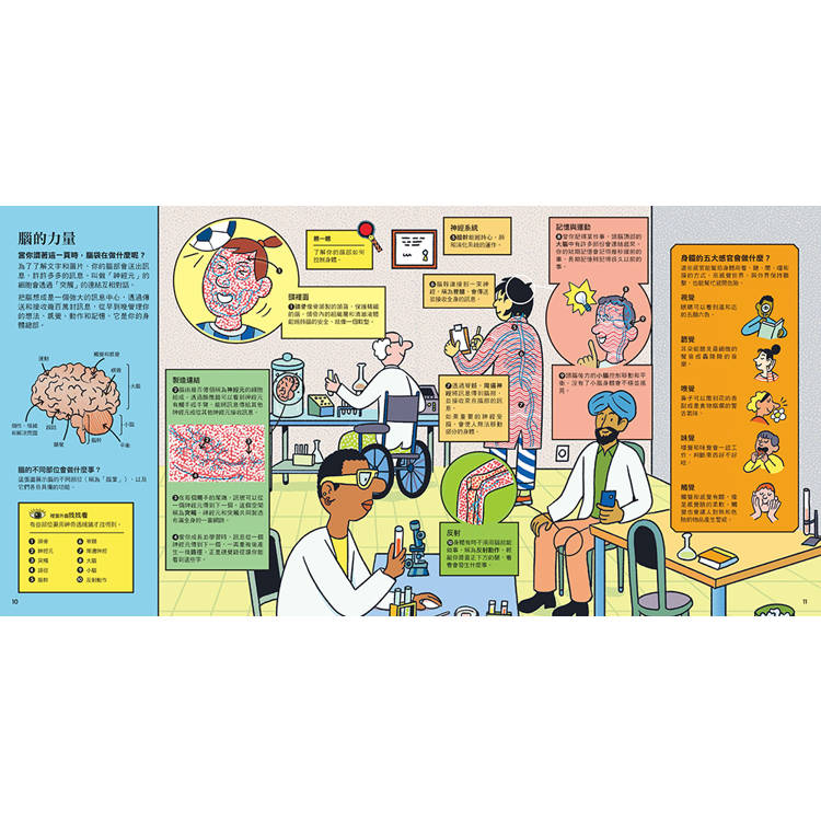 神奇透視鏡大探索2 原來人體是這樣子!(隨書附贈透視鏡) 神奇透視鏡大探索2 原來人體是這樣子!(隨書附贈透視鏡)