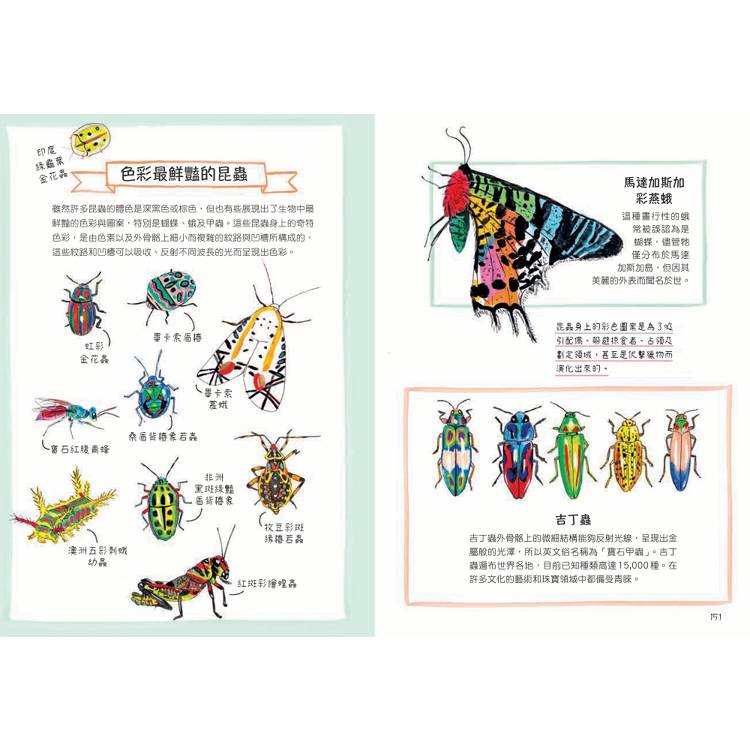 昆蟲解剖書:超過500幅手繪插圖,帶你探索最漂亮、最奇怪、最有趣的蟲蟲世界【限量贈送:作者手繪昆蟲透卡】 昆蟲解剖書:超過500幅手繪插圖,帶你探索最漂亮、最奇怪、最有趣的蟲蟲世界【限量贈送:作者手繪昆蟲透卡】
