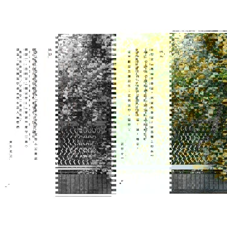 期間限定的後青春假期:用GAP YEAR開啟愛的自我練習 期間限定的後青春假期:用GAP YEAR開啟愛的自我練習