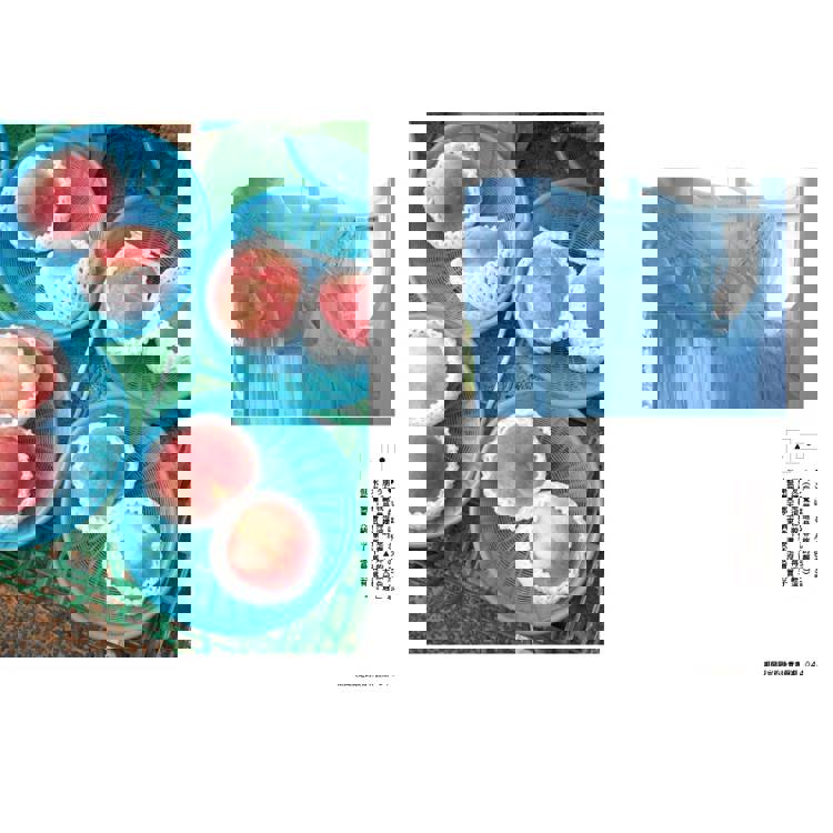 期間限定的後青春假期:用GAP YEAR開啟愛的自我練習 期間限定的後青春假期:用GAP YEAR開啟愛的自我練習