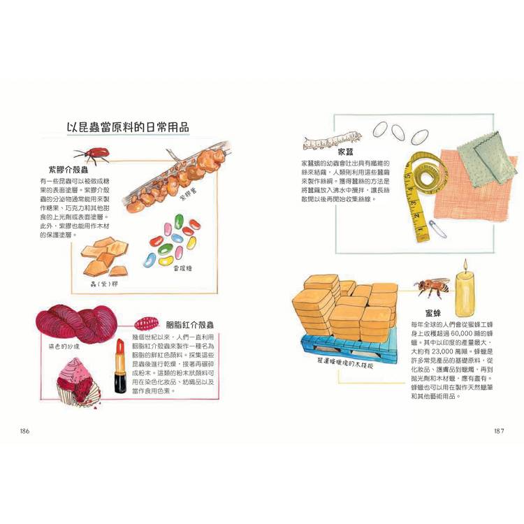 昆蟲解剖書:超過500幅手繪插圖,帶你探索最漂亮、最奇怪、最有趣的蟲蟲世界【限量贈送:作者手繪昆蟲透卡】 昆蟲解剖書:超過500幅手繪插圖,帶你探索最漂亮、最奇怪、最有趣的蟲蟲世界【限量贈送:作者手繪昆蟲透卡】