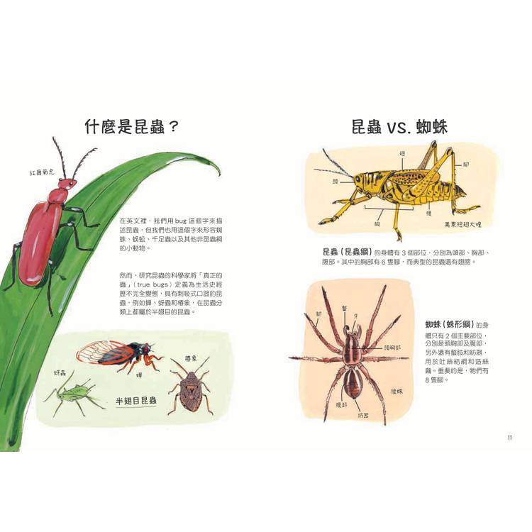 昆蟲解剖書:超過500幅手繪插圖,帶你探索最漂亮、最奇怪、最有趣的蟲蟲世界【限量贈送:作者手繪昆蟲透卡】 昆蟲解剖書:超過500幅手繪插圖,帶你探索最漂亮、最奇怪、最有趣的蟲蟲世界【限量贈送:作者手繪昆蟲透卡】
