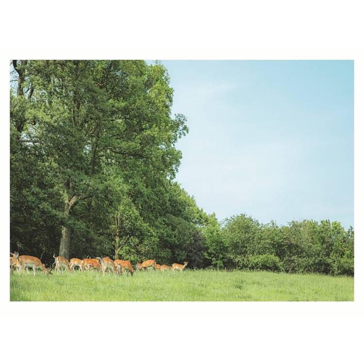 北歐時間:世界第一幸福國度教會我的事 北歐時間:世界第一幸福國度教會我的事