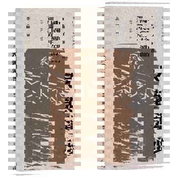 大浪淘沙：中國革命中的國民黨左派與知識青年（1920-1930）