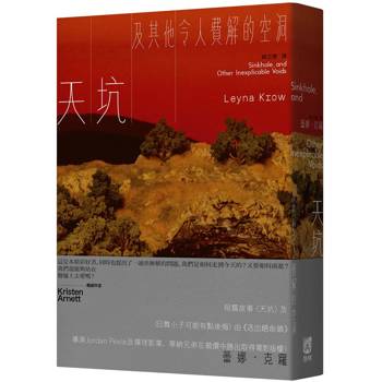天坑及其他令人費解的空洞 Sinkhole, and Other Inexplicable Voids